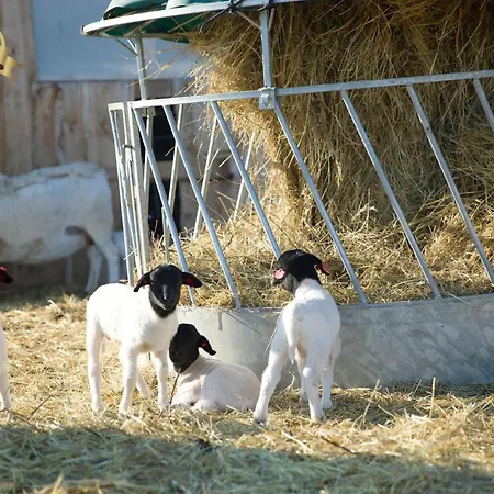 Pod Hazmburkem בית הארחה