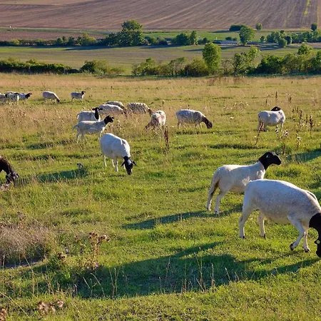 Pod Hazmburkem בית הארחה